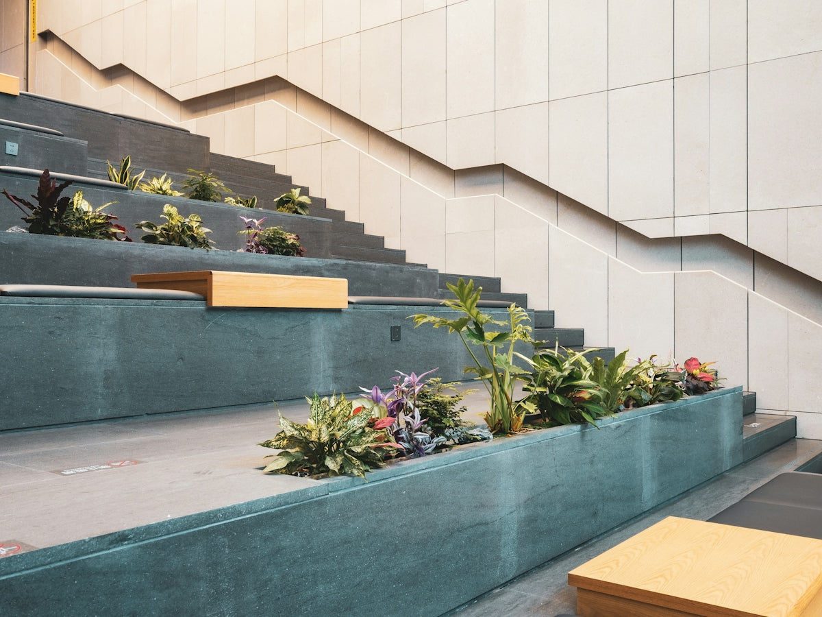A bunch of plants that are on some steps