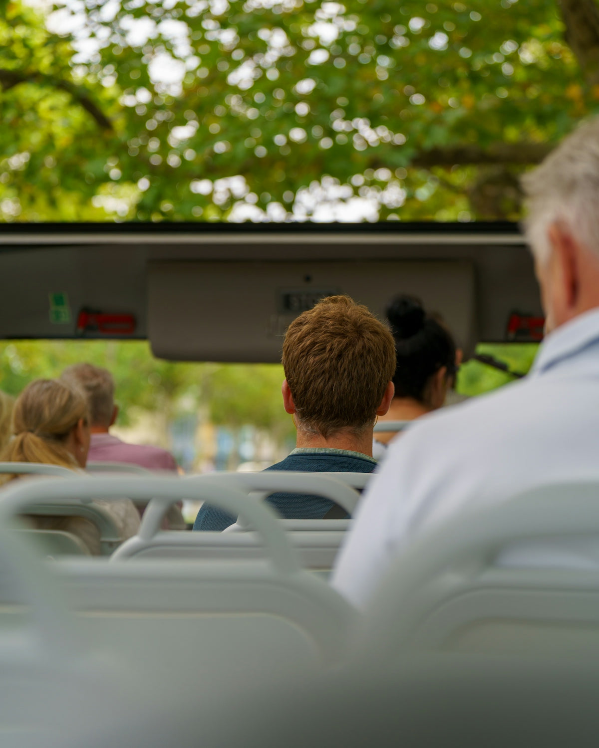 People riding on a tour bus with trees outside